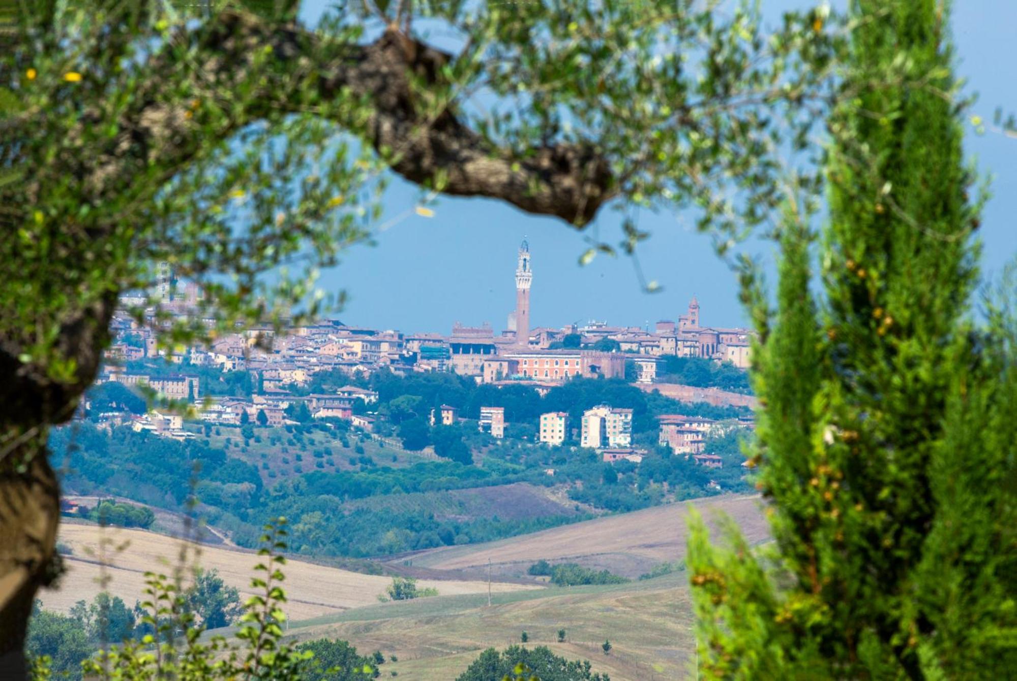 Casavacanze Vesta Isola d'Arbia Dış mekan fotoğraf