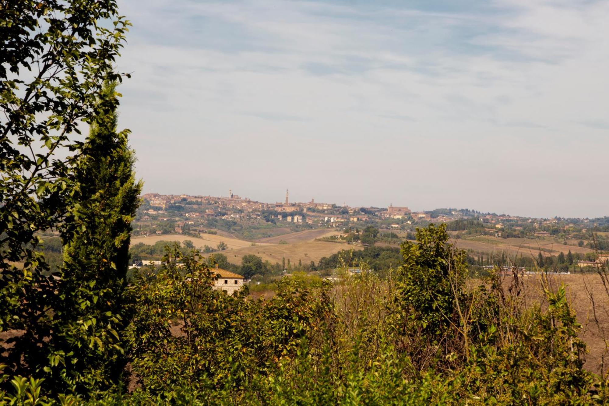 Casavacanze Vesta Isola d'Arbia Dış mekan fotoğraf